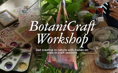 Little Botanist Workshop