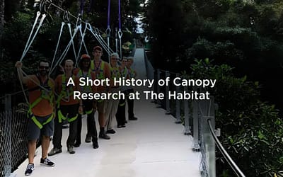 A Short History of Canopy Research at The Habitat