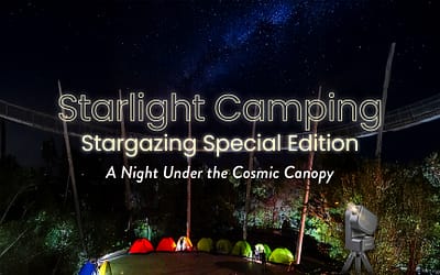 Starlight Camping : Stargazing Special Edition